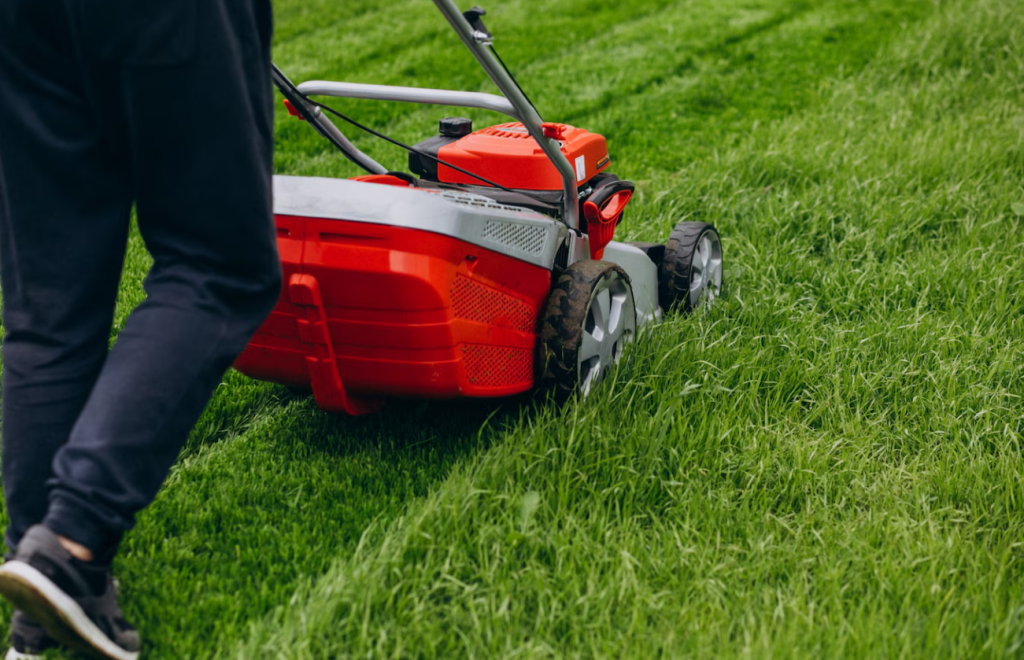 Lawn Mowar 2