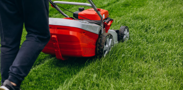 Lawn Mowar 2